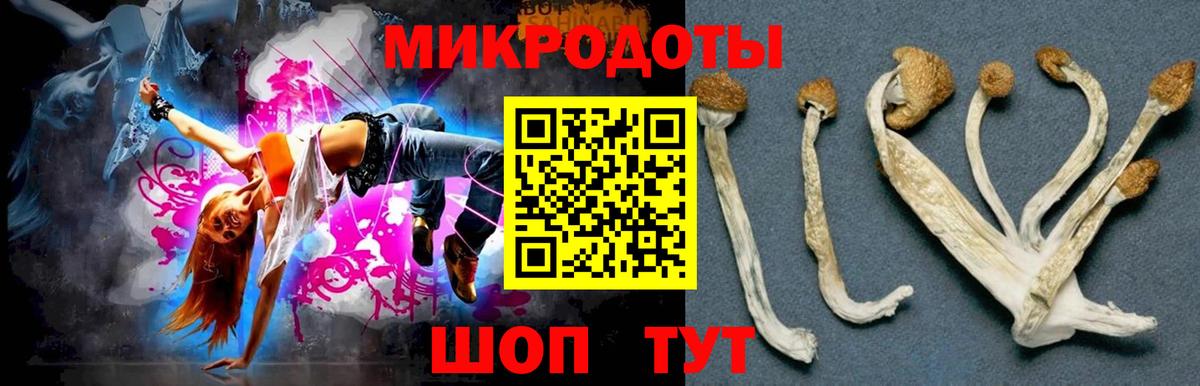 Кировск  закладки  Вход с VPN  Псилоцибиновые грибы мицелий  Галлюциногенные грибы GOLDEN TEACHER 